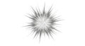 Sharp spiky abstract starburst explosion isolated on white background Royalty Free Stock Photo