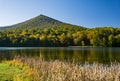 Sharp Top Mountain from Abbott Lake Royalty Free Stock Photo