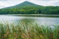 Sharp Top Mountain and Abbott Lake Royalty Free Stock Photo