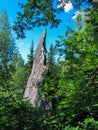 Sharp Tremolite Rock Royalty Free Stock Photo