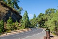 Sharp turn of the mountain road in a beautiul canarian pine forest. Teide National Park, Tenerife, Canary Islands, Spain Royalty Free Stock Photo