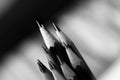 Sharpened Artists Pencils at angle Royalty Free Stock Photo