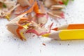 Sharpened colorful yellow and orange pencils and wood shavings, drawing concept Royalty Free Stock Photo