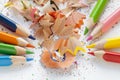 Sharpened colourful pencils and wood shavings Royalty Free Stock Photo