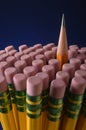 Sharpened pencil within a group of pencil erasers Royalty Free Stock Photo