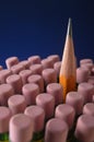 Sharpened pencil within a group of pencil erasers Royalty Free Stock Photo