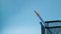 A sharpened simple pencil stands in a mesh jar on a blue background. Sharpened pencil tip. Royalty Free Stock Photo