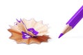 Sharpened violet pencil and wood shavings on white background, education concept Royalty Free Stock Photo