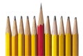 Sharpest Pencil in the Bunch, isolated Royalty Free Stock Photo