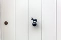 Sharply white wooden door with donkey shaped brass door knob Royalty Free Stock Photo