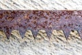 The sharpness of saw blade is old and rusty Royalty Free Stock Photo