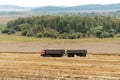 A truck with a trailer loaded with grain rides on an agricultural field during harvest, against the background of green bushes