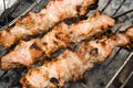 Shashlik Royalty Free Stock Photo