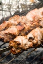 Shashlik Royalty Free Stock Photo