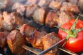 Shashlik