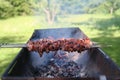 Shashlik Royalty Free Stock Photo