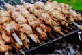 Shashlik on a barbecue grill over charcoal shish kebab popular in Eastern Europe Royalty Free Stock Photo