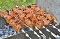 Shashlik 2