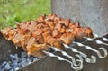 Shashlik