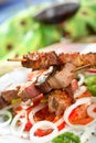 Shashlik with fresh vegetables Royalty Free Stock Photo