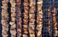 Shashlik on grill grid.