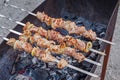 Shashlik. Grilled meat on open charcoal