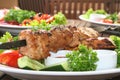 Shashlik, kebab Royalty Free Stock Photo