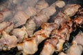 Shashlik / kebab / skewer / barbecue Royalty Free Stock Photo