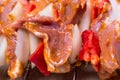 Shashlik redy for bbq Royalty Free Stock Photo