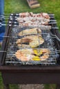 Shashlik or shashlik and salmon steaks preparing on a barbecue grill over charcoal. Grilled cubes of pork meat on metal skewer. Royalty Free Stock Photo