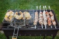 Shashlik or shashlik and salmon steaks preparing on a barbecue grill over charcoal. Grilled cubes of pork meat on metal skewer. Royalty Free Stock Photo