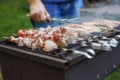 Shashlik or shashlik and salmon steaks preparing on a barbecue grill over charcoal. Grilled cubes of pork meat on metal skewer. Royalty Free Stock Photo