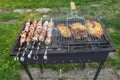 Shashlik or shashlik and salmon steaks preparing on a barbecue grill over charcoal. Grilled cubes of pork meat on metal skewer. Royalty Free Stock Photo