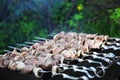 Shashlik or shashlyk meaning skewered meat was originally made of lamb.