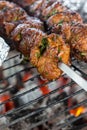 Shashlik on spit Royalty Free Stock Photo