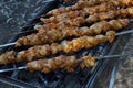 Shashlik - traditional Georgian barbecue. Closeup of raw roasted marinated meat barbecue shish kebab shashlik on steel metal Royalty Free Stock Photo