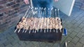 Shashlik - traditional russian barbecue. meat on barbeque. smo