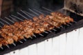 Shashlik traditional russian barbecue. Pork Shish kebab on Fire grill charcoal