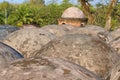 Shat Gombuj Mosque roof domes in Bagerhat, Bangladesh.