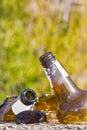 Shattered beer bottle resting on the ground: alcoholism concept Royalty Free Stock Photo