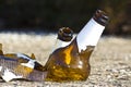 Shattered beer bottle resting on the ground: alcoholism concept Royalty Free Stock Photo