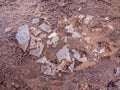 Shattered broken ice on mud floor walk surface outside texture w