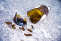 Shattered brown beer bottle on the ground - Alcoholism concept image Royalty Free Stock Photo