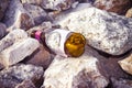 Shattered brown beer bottle resting on the ground: alcoholism co Royalty Free Stock Photo