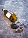 Shattered brown beer bottle resting on the ground: alcoholism concept Royalty Free Stock Photo