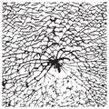 Shattered glass. Black and white background of broken glass Royalty Free Stock Photo