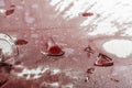 Shattered glass from a broken glass on a tablecloth drenched in red wine Royalty Free Stock Photo