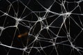 Shattered Glass Macro. Intricate Network of Cracks and Jagged Edges
