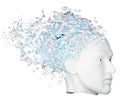 Shattered Head side view Royalty Free Stock Photo