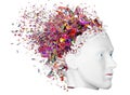 Shattered Head side view Royalty Free Stock Photo